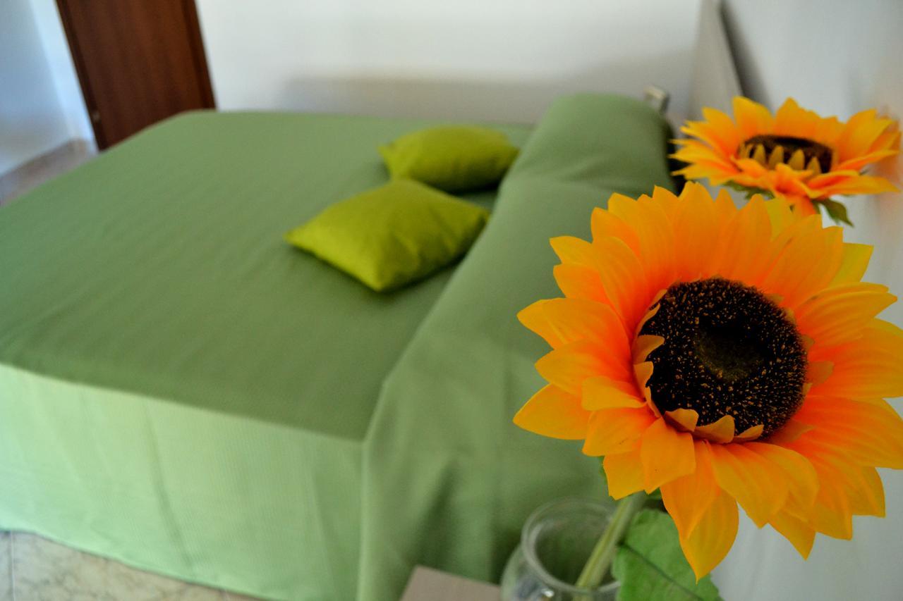 Bed & Breakfast Atticvs Di Mamma Ines Rome